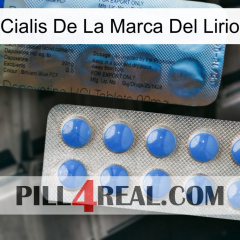 Lily Brand Cialis 40